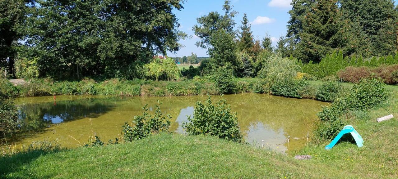 Agroturystyka Zielony Zakatek Villa Grudna Exterior foto
